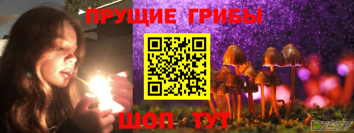 Псилоцибиновые грибы ЛСД  Вход с VPN  Псилоцибиновые грибы Psilocybine cubensis  Вологда 
